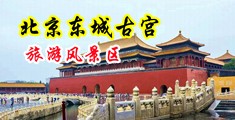 猛男猛插骚货后门中国北京-东城古宫旅游风景区
